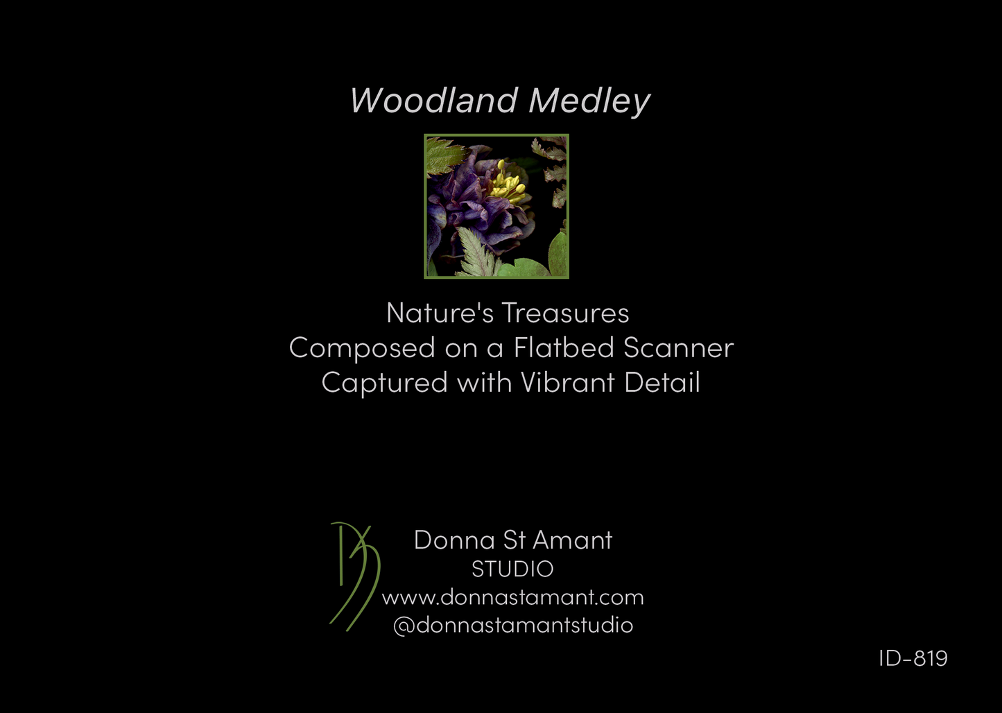 Blank Note Card 5" x 7" with Envelope 'Woodland Medley'