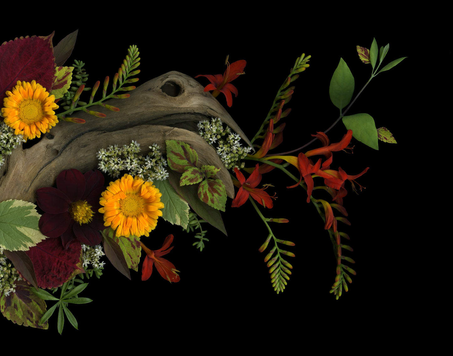 Crocosmia and Driftwood Medley