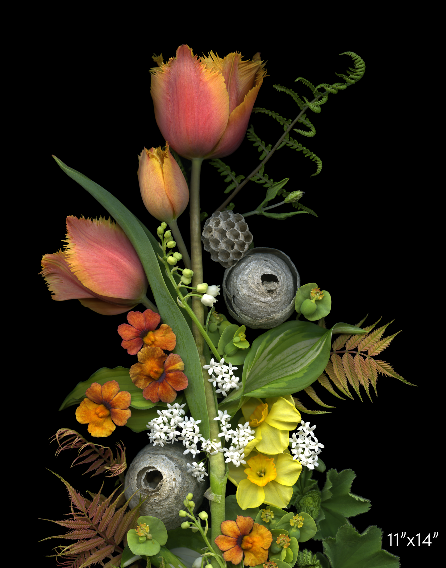 Tulips and Hornet Nest Medley