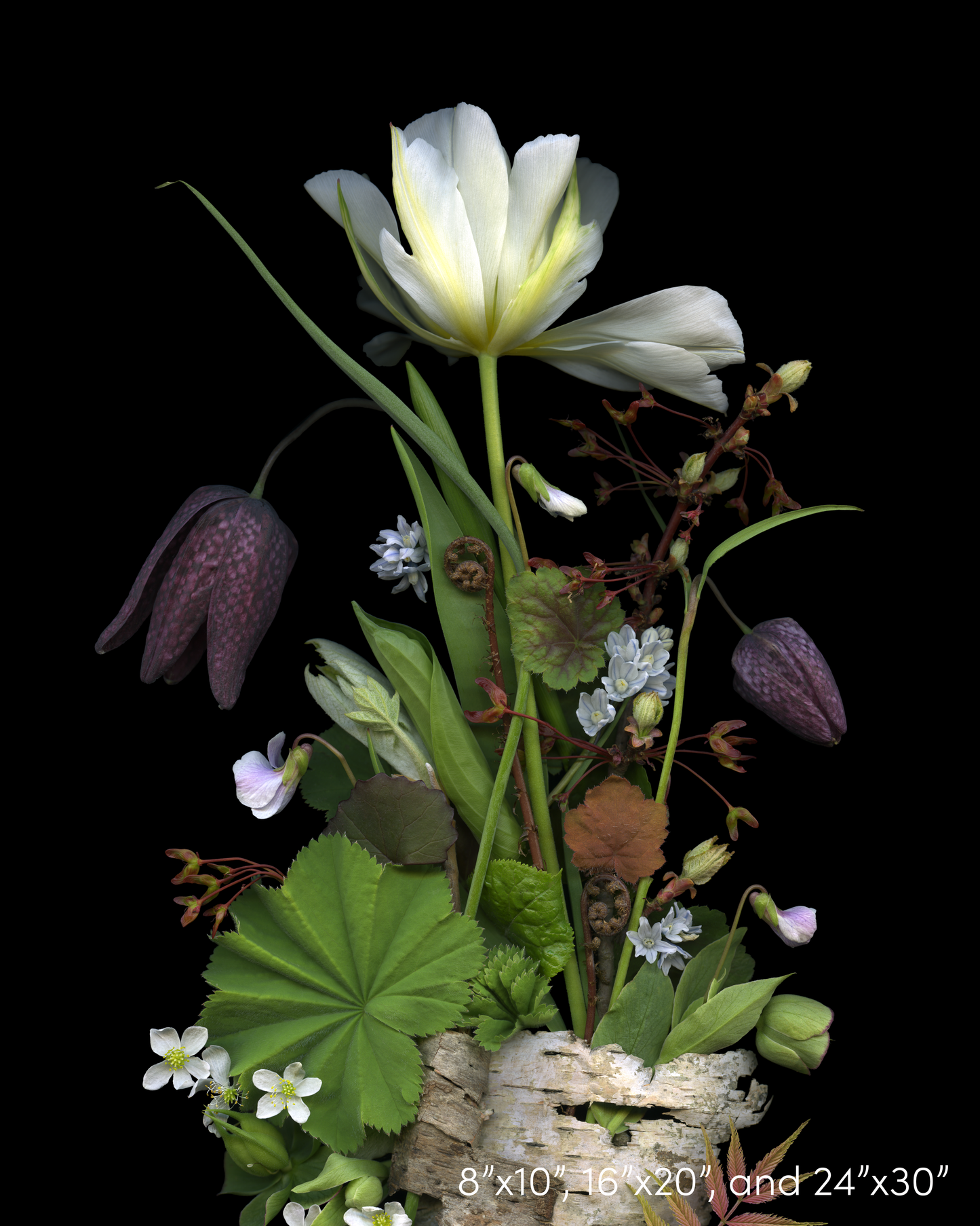 Fritillary and Birch Medley