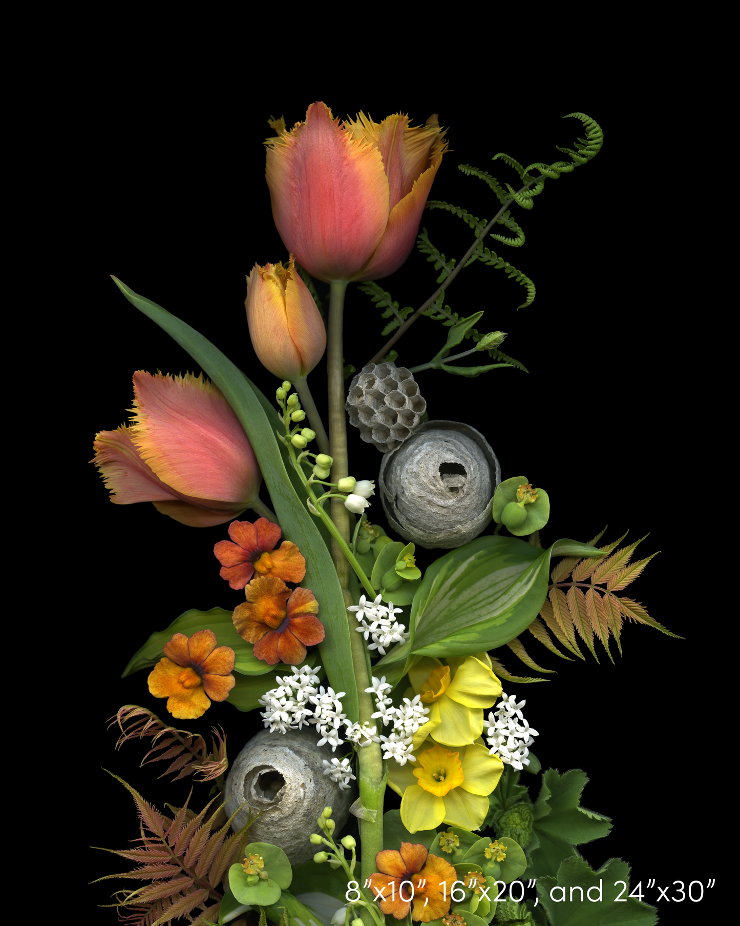 Tulips and Hornet Nest Medley