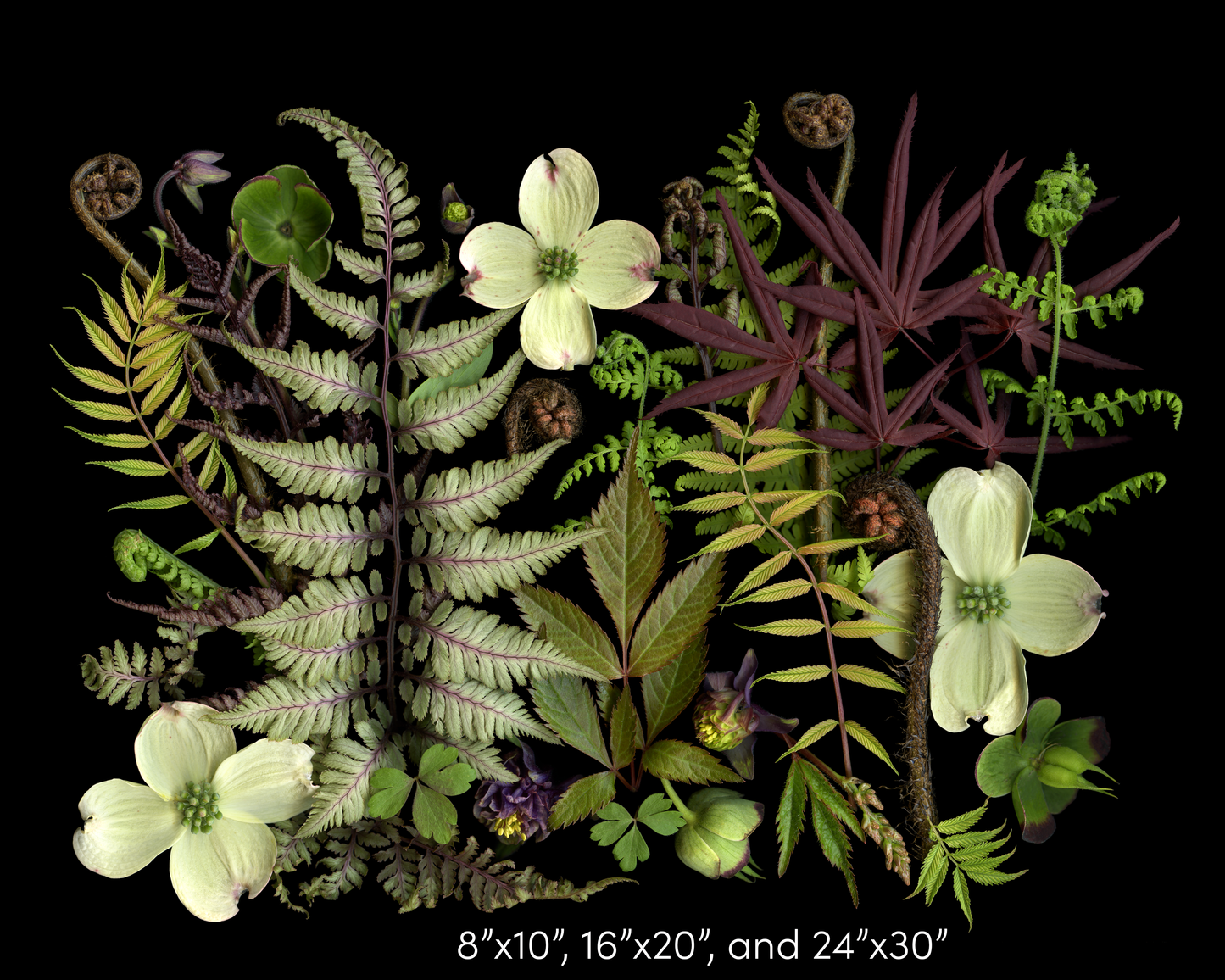 Woodland Medley